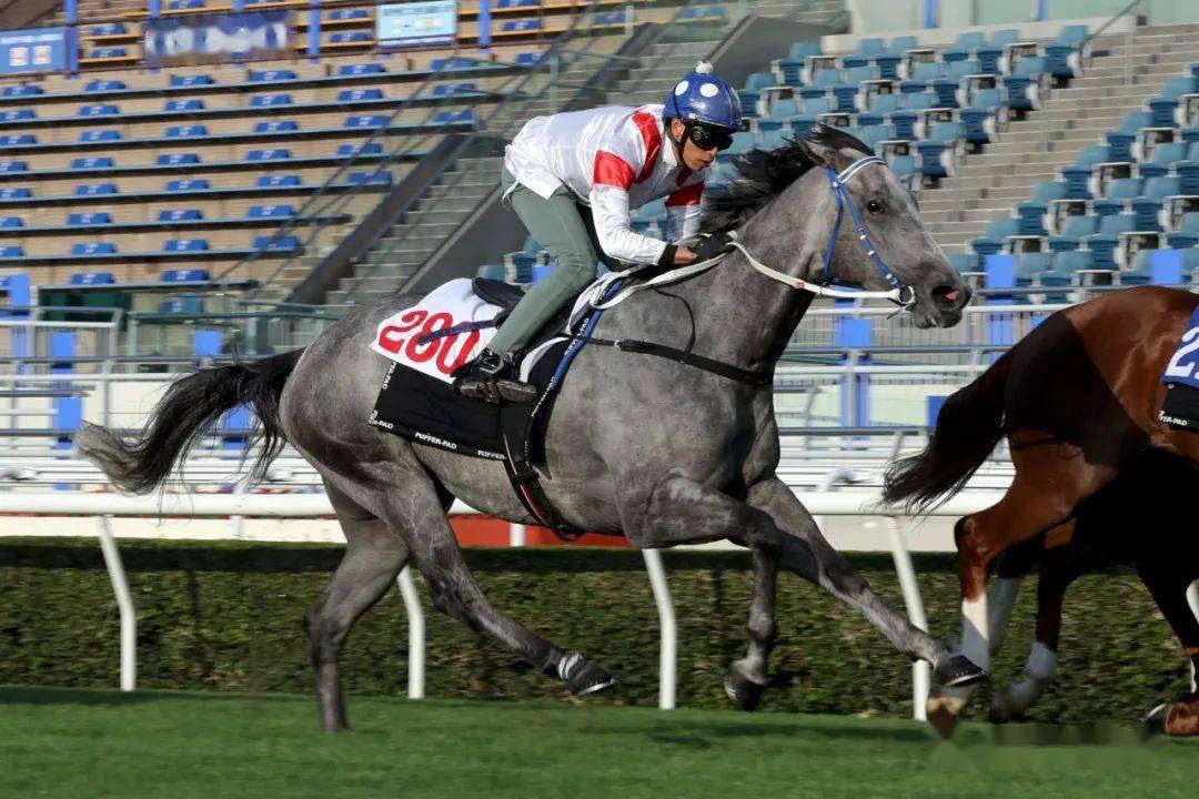 开云体育APP下载-澳大利亚选手取得突破，成绩斐然的简单介绍