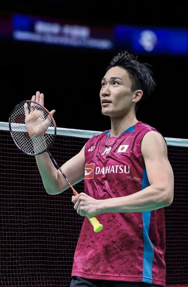 法国羽毛球队逆转马来西亚羽毛球队，桃田贤斗关键制胜的简单介绍